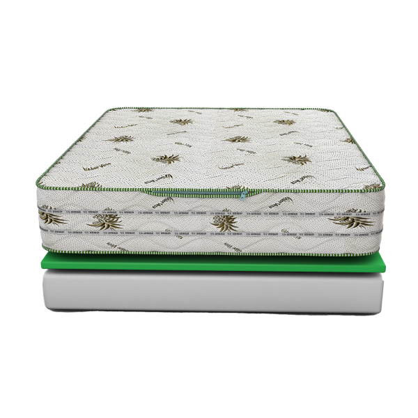Aloe Vera Deluxe