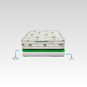Aloe Vera Deluxe