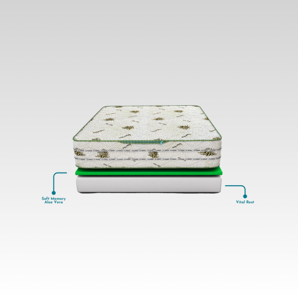 Aloe Vera Deluxe